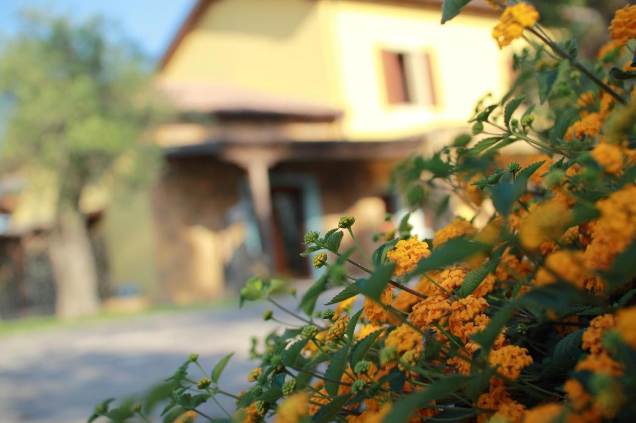 Su Passu Country House 페틸리아 외부 사진
